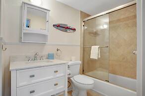 9 Laughing Gull at The Sea Pines Resort