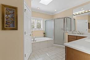 9 Piping Plover at The Sea Pines Resort