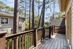 9 Piping Plover at The Sea Pines Resort