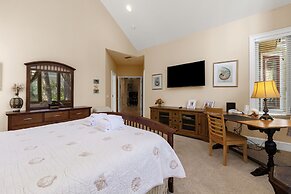 9 Piping Plover at The Sea Pines Resort