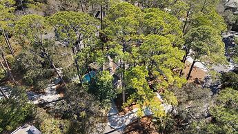 9 Piping Plover at The Sea Pines Resort