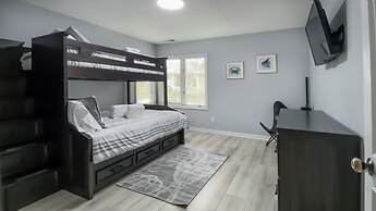 8 Surf Scoter at The Sea Pines Resort