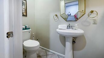 8 Surf Scoter at The Sea Pines Resort