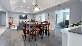 8 Surf Scoter at The Sea Pines Resort