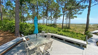 5 Black Duck at The Sea Pines Resort