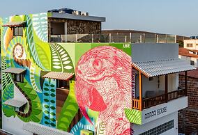 ARARA HOUSE JERI