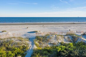 16 Spotted Sandpiper at The Sea Pines Resort