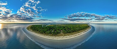 21 Painted Bunting at The Sea Pines Resort