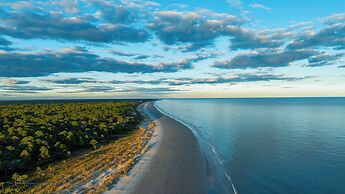 21 Painted Bunting at The Sea Pines Resort