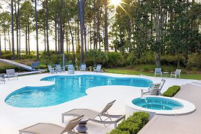 21 Painted Bunting at The Sea Pines Resort