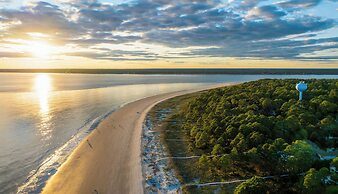 21 Painted Bunting at The Sea Pines Resort