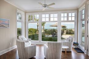 34 Surf Scoter at The Sea Pines Resort