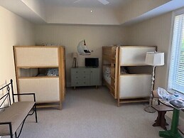 21 Green Heron at The Sea Pines Resort