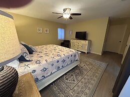 20 Ruddy Turnstone at The Sea Pines Resort