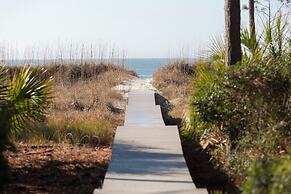 19 Painted Bunting at The Sea Pines Resort