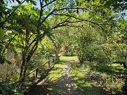 Wildlife Lodge Cahuita