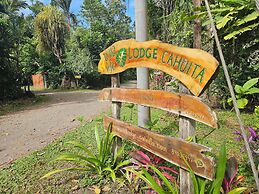 Wildlife Lodge Cahuita