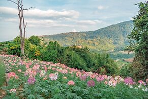 Long hug khao homestay