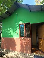 Treez Resort Pvt Ltd