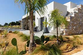 Villa Nerida -island Living Paros-