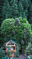 WOW Treehouse & Cottages