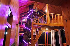 WOW Treehouse & Cottages