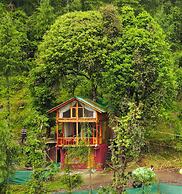 WOW Treehouse & Cottages