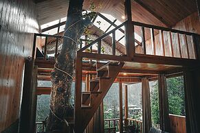 WOW Treehouse & Cottages