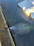 Resort-style Villa Pool + Lagoon Access