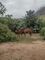quinta de areal