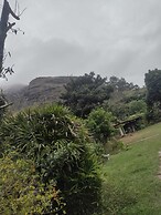 quinta de areal