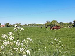 Holmhurst