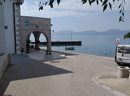 Dalmata Apartments
