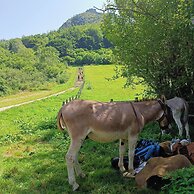 Les lits de Montbel B&B