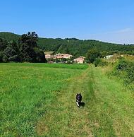 Les lits de Montbel B&B