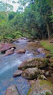 POUSADA PALMEIRA AZUL