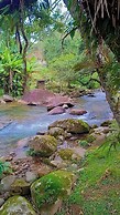 POUSADA PALMEIRA AZUL