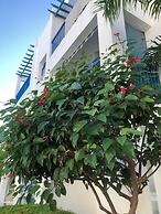 Paphos Blue Apartment Complex Pool View