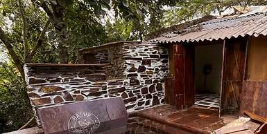 Bastar Birds Nest