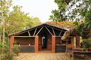 Bastar Birds Nest