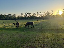 BlockHaven near Legoland & Disney