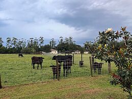 BlockHaven near Legoland & Disney