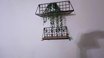 BlockHaven near Legoland & Disney