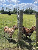 BlockHaven near Legoland & Disney