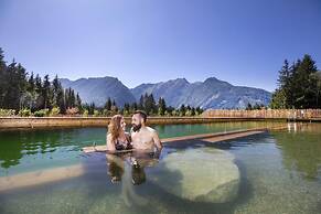 Chalet With Sauna and Natural Pool