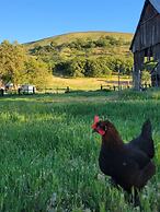 8 Mile Farm B&B