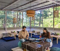 Zostel Homes Tirthan - Gushaini