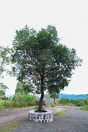 BlueHill Lotus Holistic Wellness Village