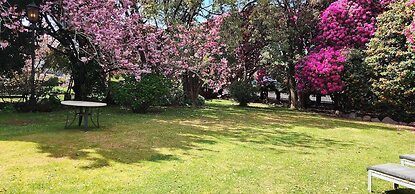 Anabel's of Scottsdale