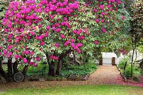 Anabel's of Scottsdale